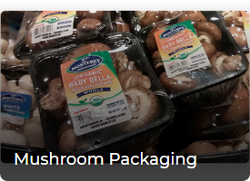 Screenshot_2020-09-04 Flexible Packaging – AeroPlast(3)